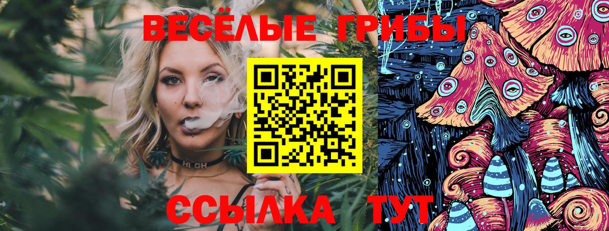 Клинцы  Галлюциногенные грибы MAGIC MUSHROOMS  Вход с VPN 